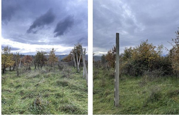 terreno agricolo in vendita a Città della Pieve