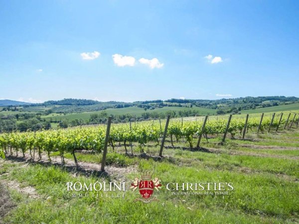 azienda agricola in vendita a Città della Pieve