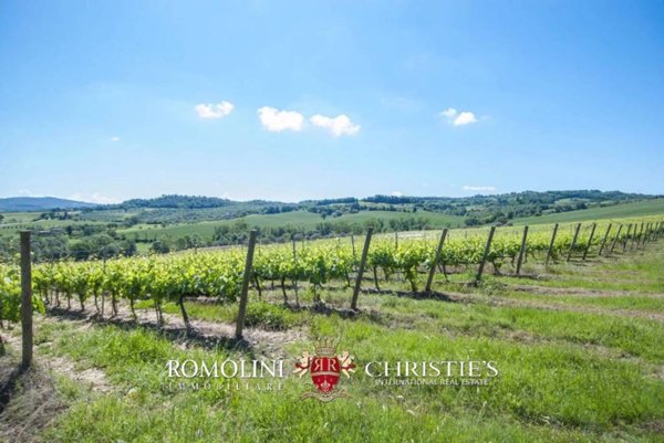 azienda agricola in vendita a Città della Pieve