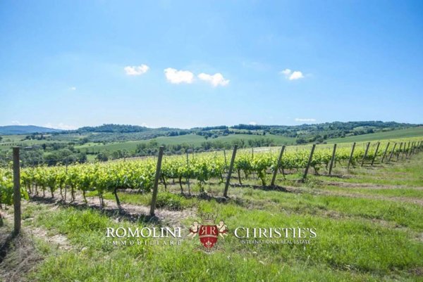 azienda agricola in vendita a Città della Pieve