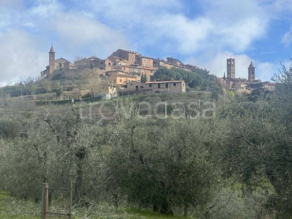 terreno agricolo in vendita a Città della Pieve
