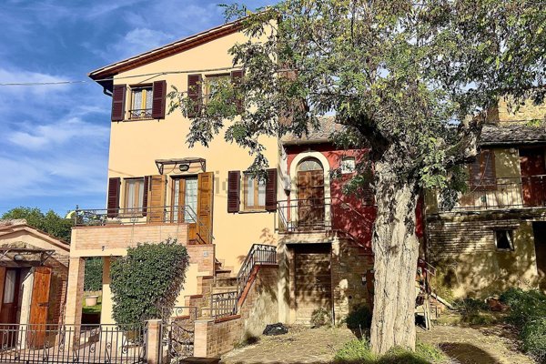 esavano in vendita a Città della Pieve