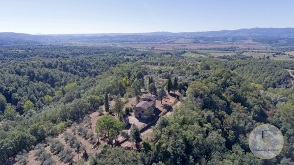 esavano in vendita a Città della Pieve in zona Moiano