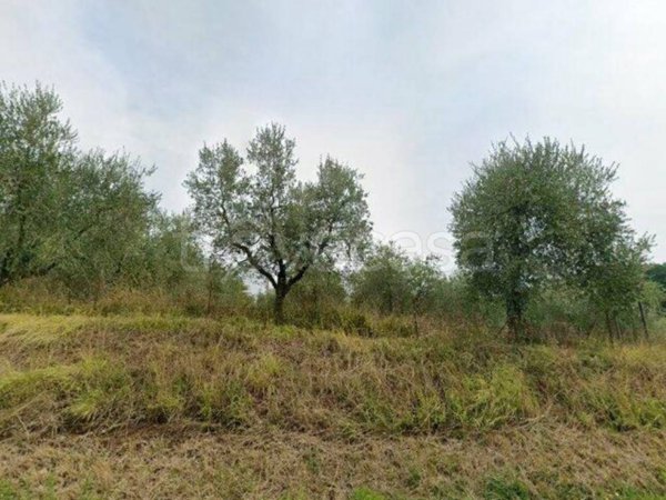 appartamento in vendita a Città della Pieve in zona Moiano