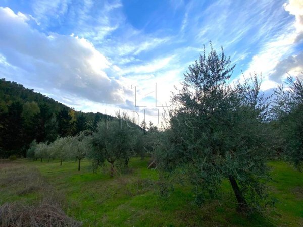 villa in vendita a Città di Castello in zona Trestina