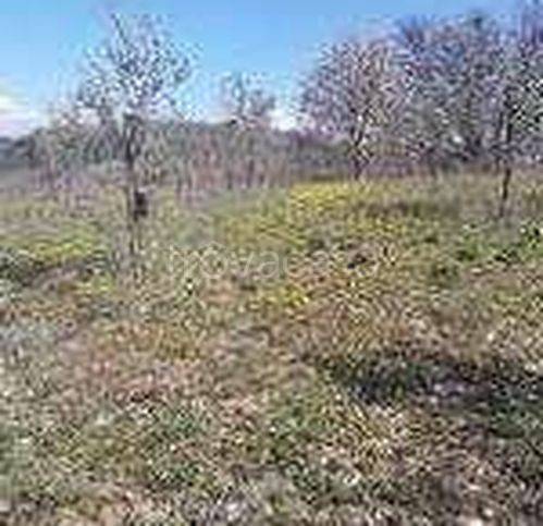 villa in vendita a Città di Castello