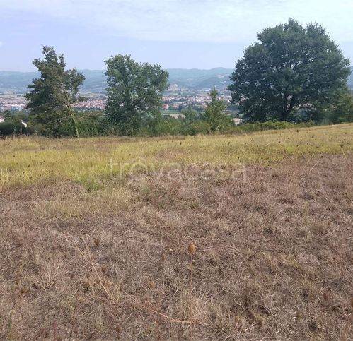 terreno agricolo in vendita a Città di Castello