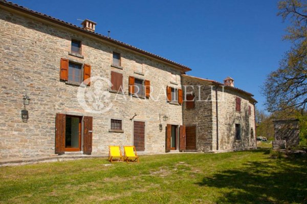 immagine annuncio 0 di 15