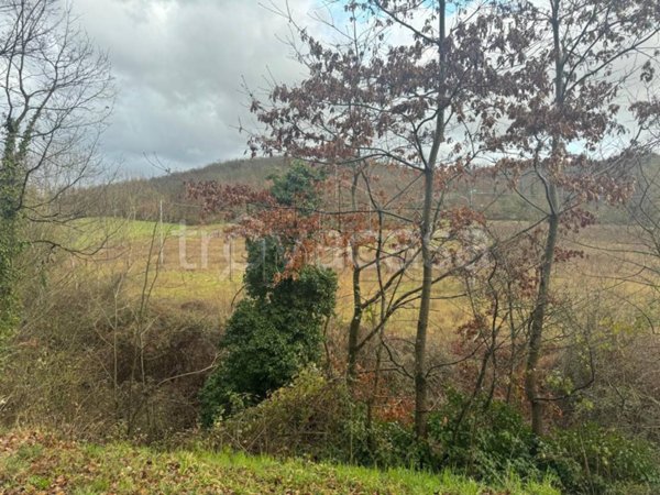 villa in vendita a Città di Castello in zona Trestina
