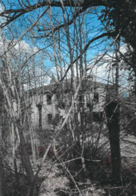 negozio in vendita a Città di Castello
