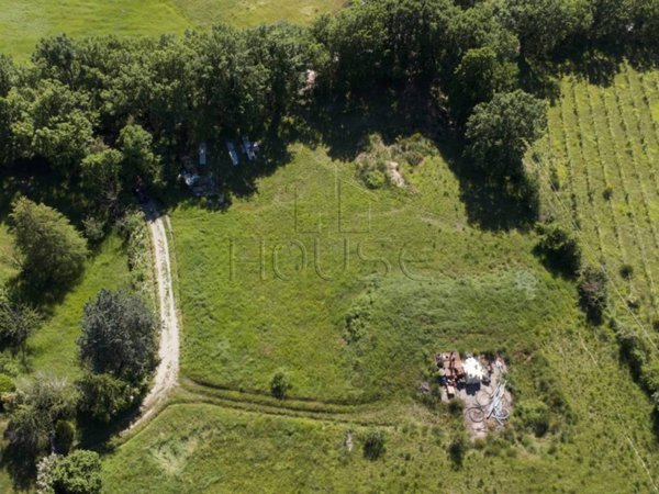 terreno agricolo in vendita a Città di Castello