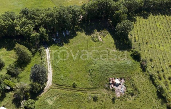 terreno agricolo in vendita a Città di Castello in zona Trestina