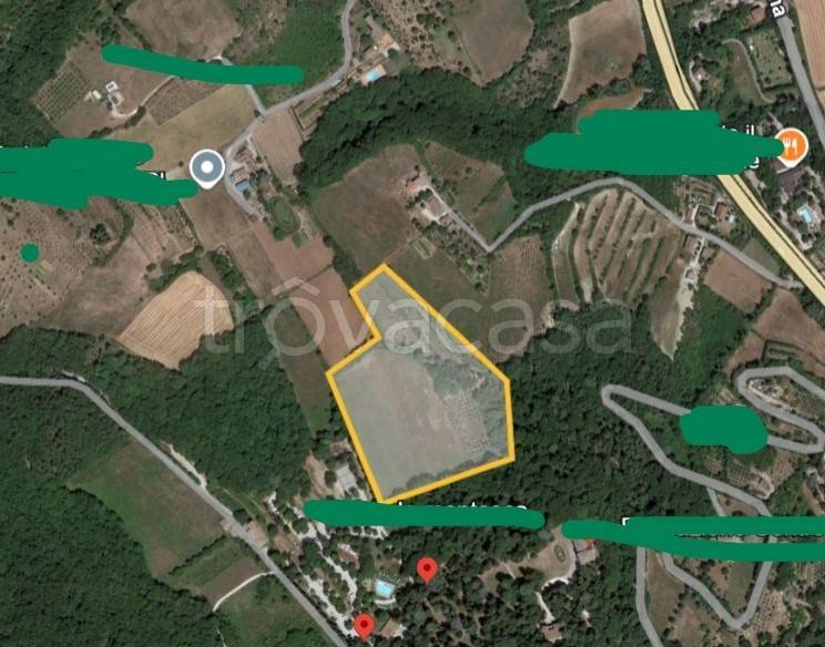 azienda agricola in vendita a Città di Castello