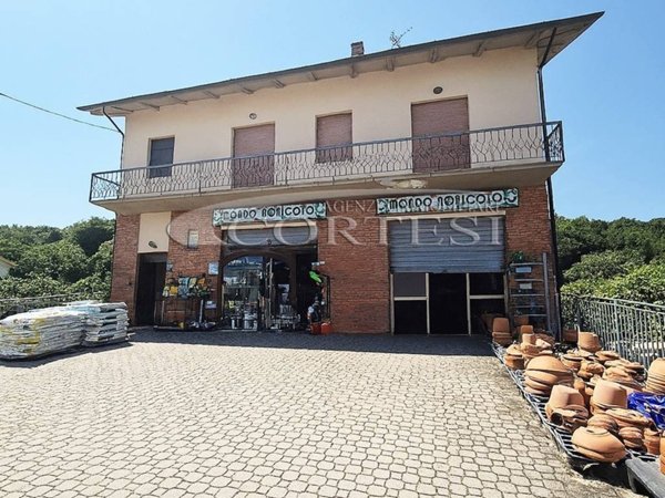 casa indipendente in vendita a Città di Castello in zona Trestina