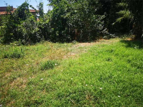 terreno edificabile in vendita a Città di Castello in zona Promano