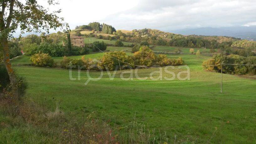 terreno agricolo in vendita a Città di Castello
