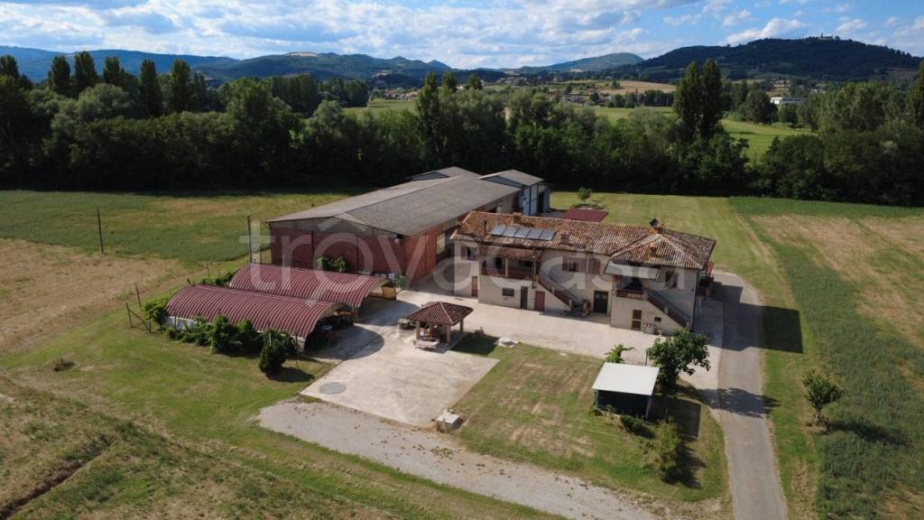 azienda agricola in vendita a Città di Castello in zona Trestina