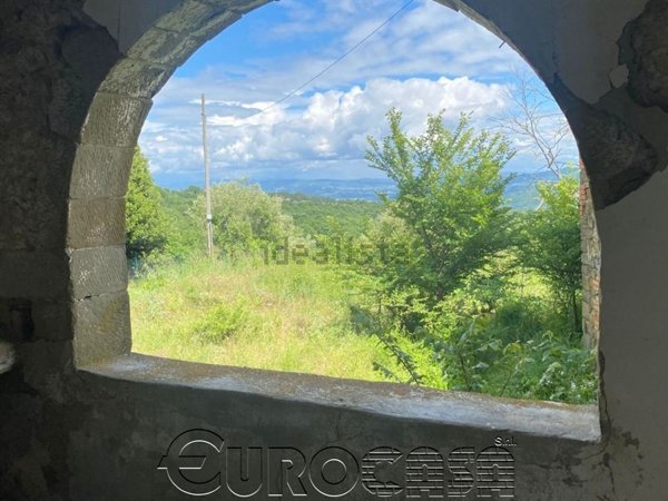 esavano in vendita a Città di Castello