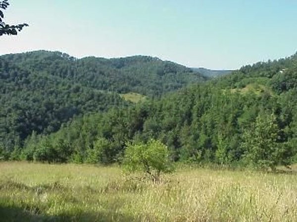 villa in vendita a Città di Castello