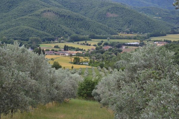 villa in vendita a Città di Castello