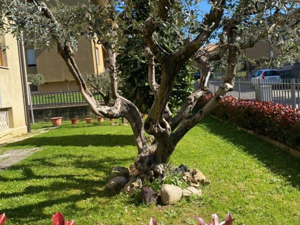 appartamento in vendita a Città di Castello in zona Promano