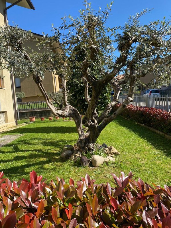 appartamento in vendita a Città di Castello in zona Promano