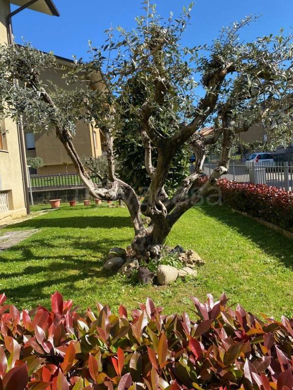 appartamento in vendita a Città di Castello in zona Promano