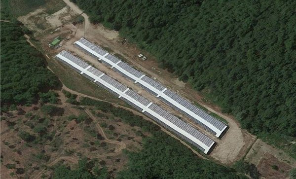 azienda agricola in vendita a Città di Castello