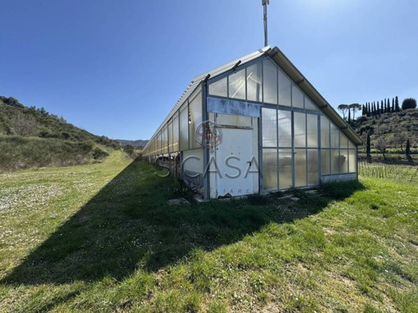 terreno agricolo in vendita a Città di Castello in zona Santa Lucia