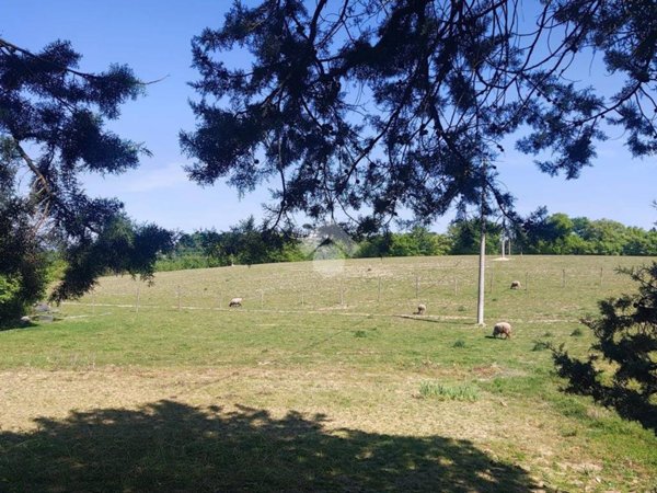 terreno agricolo in vendita a Città di Castello