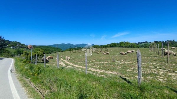 terreno agricolo in vendita a Città di Castello