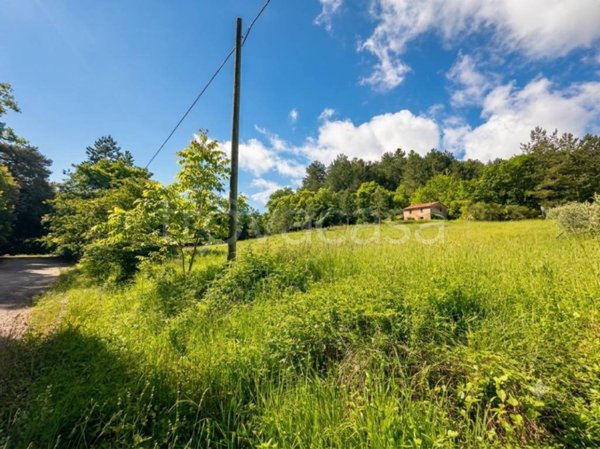 terreno agricolo in vendita a Città di Castello