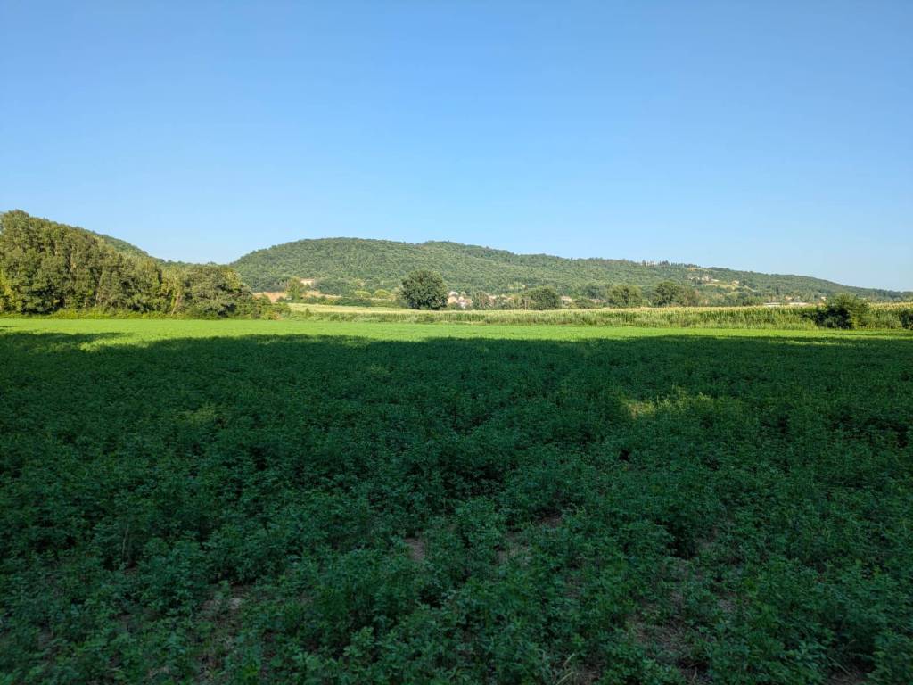 villa in vendita a Città di Castello in zona Santa Lucia