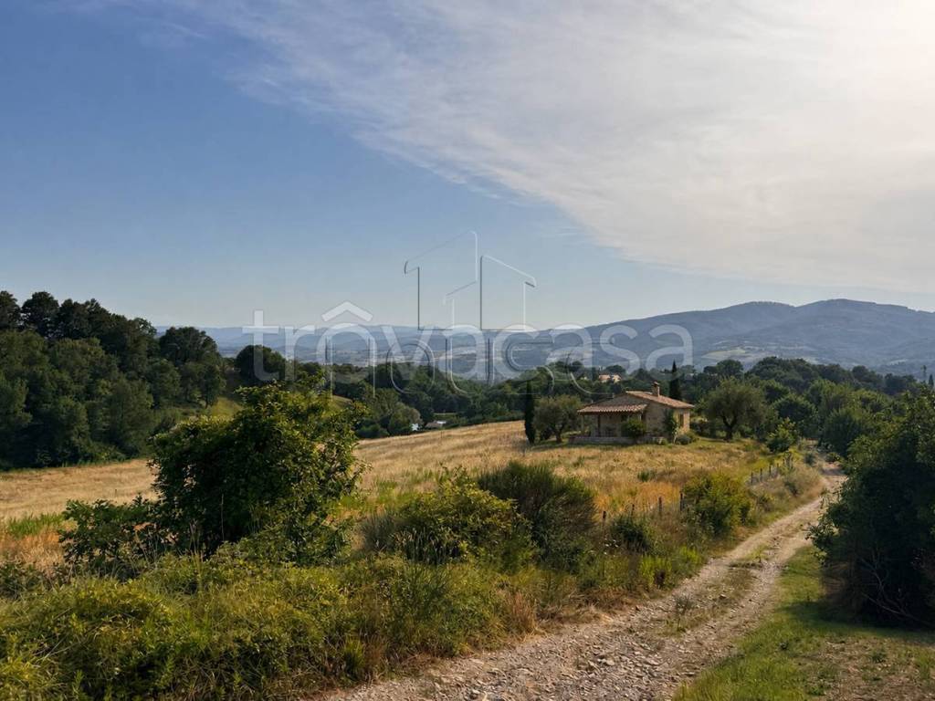 casa indipendente in vendita a Città di Castello