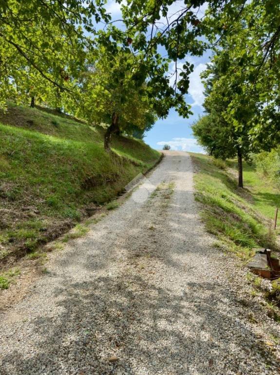 casa indipendente in vendita a Città di Castello in zona San Martino d'Upò