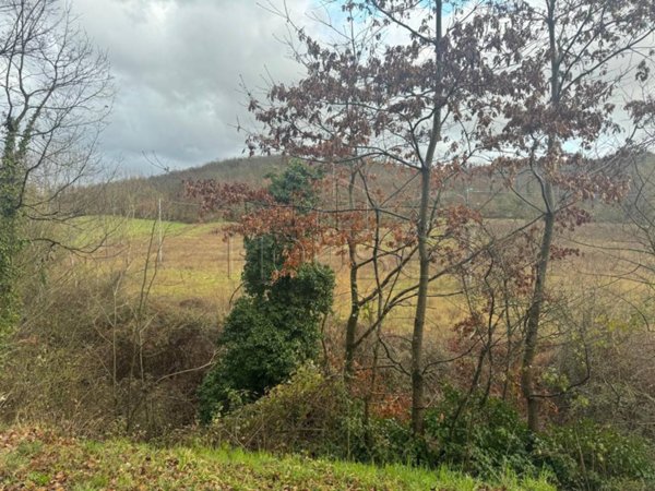 terreno in vendita a Città di Castello in zona Fraccano