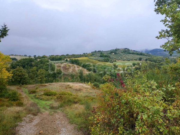 casa indipendente in vendita a Collazzone