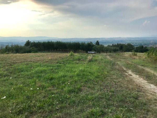 terreno agricolo in vendita a Collazzone in zona Piedicolle