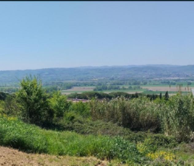 terreno agricolo in vendita a Collazzone in zona Collepepe