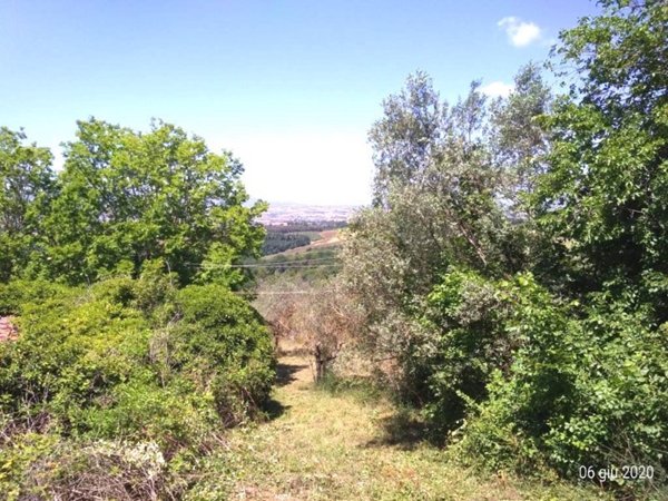 terreno agricolo in vendita a Collazzone