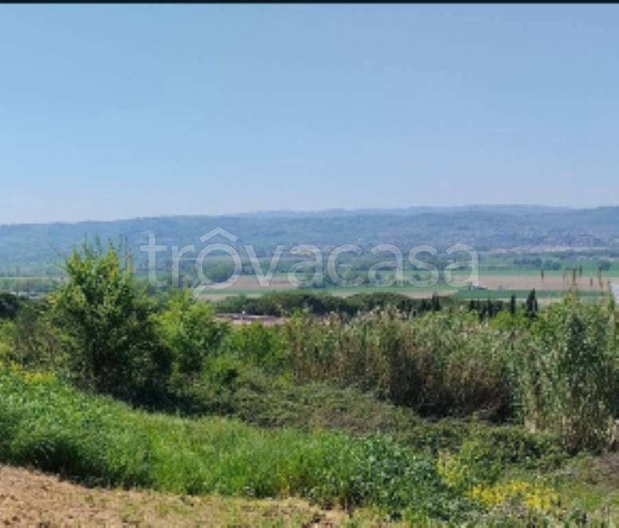 terreno agricolo in vendita a Collazzone in zona Collepepe
