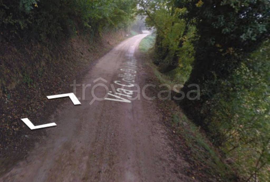 terreno agricolo in vendita a Collazzone