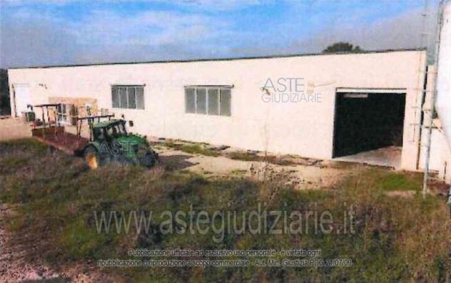 terreno agricolo in vendita a Collazzone