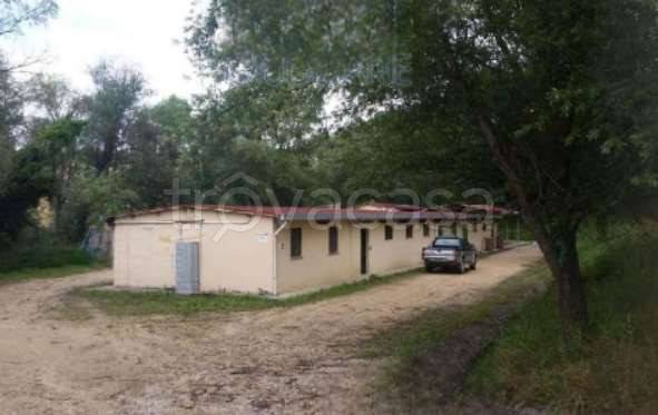 appartamento in vendita a Collazzone