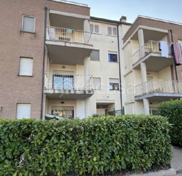 appartamento in vendita a Collazzone in zona Collepepe