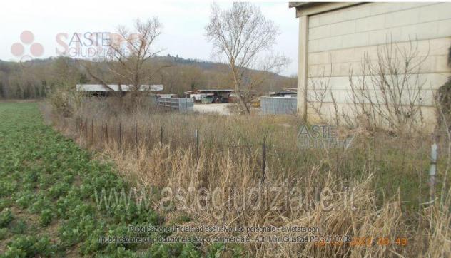 terreno agricolo in vendita a Collazzone