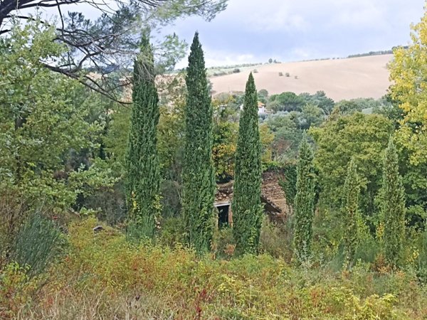 casale in vendita a Collazzone