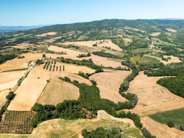 terreno agricolo in vendita a Collazzone in zona Casalalta