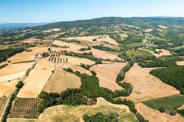 terreno agricolo in vendita a Collazzone in zona Casalalta