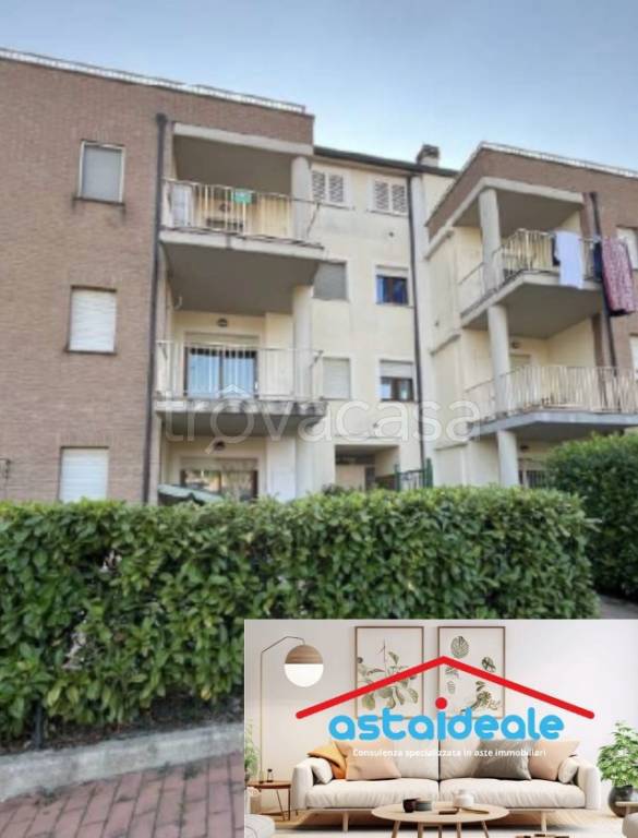 appartamento in vendita a Collazzone